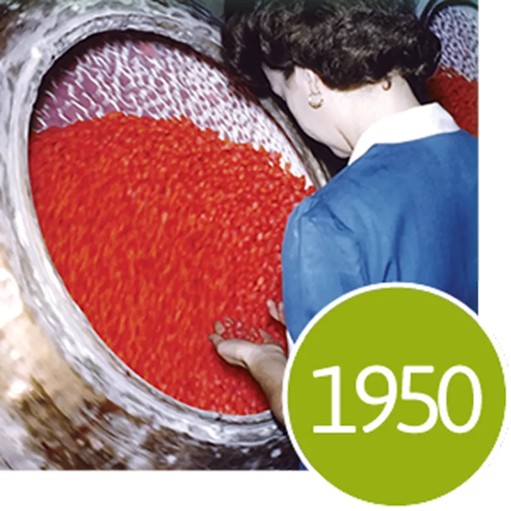 A woman in a blue shirt inspects small red candies in a large industrial vat. Includes a green 1950 badge.